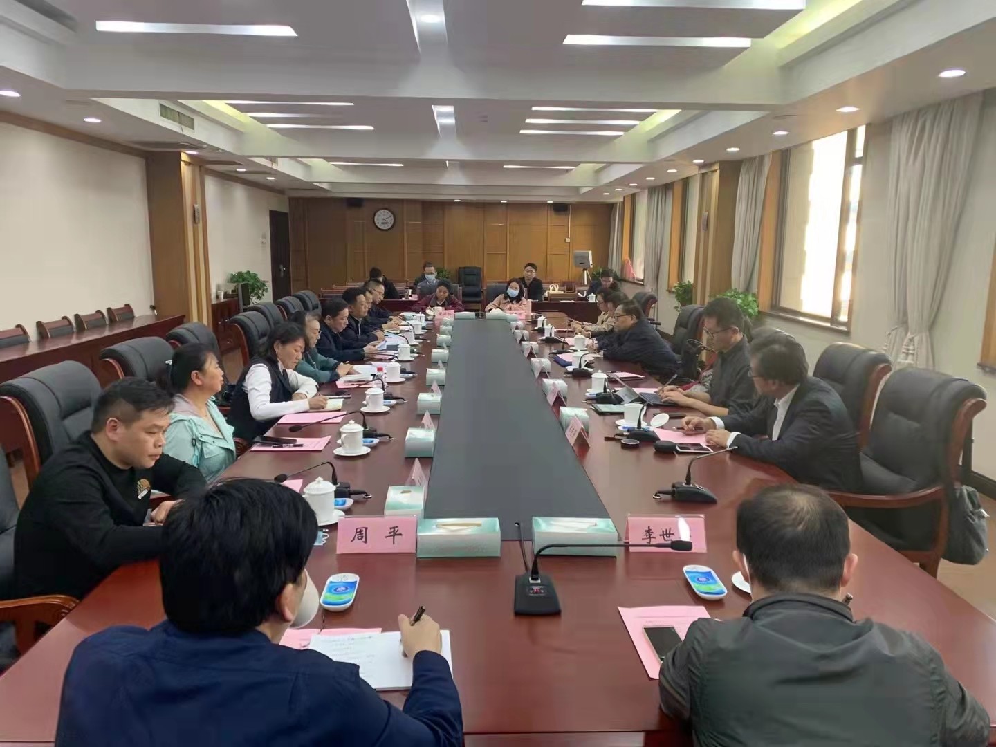 硚口區(qū)人大代表王懷佳參加無障礙環(huán)境建設(shè)公益訴訟座談會