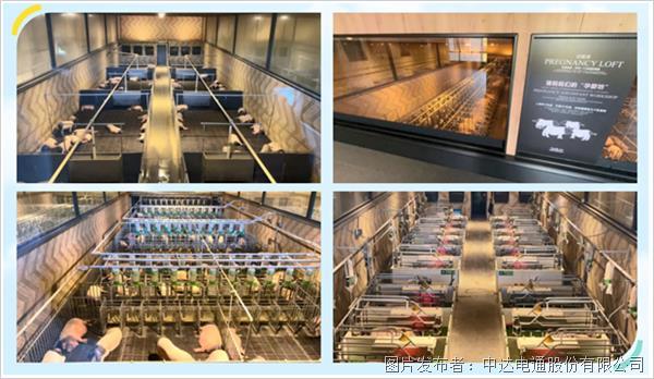 智慧中控 助力牧場變身綠色與科技結合的熱門景點(圖6) 智慧中控 助力牧場變身綠色與科技結合的熱門景點(圖6)