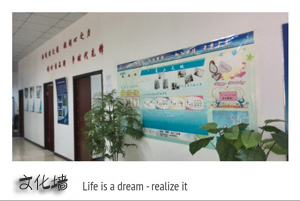 關(guān)于世佳(圖3) 關(guān)于世佳(圖3)